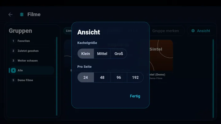 Ansicht-Dialog für Kachelgröße und Seitengröße